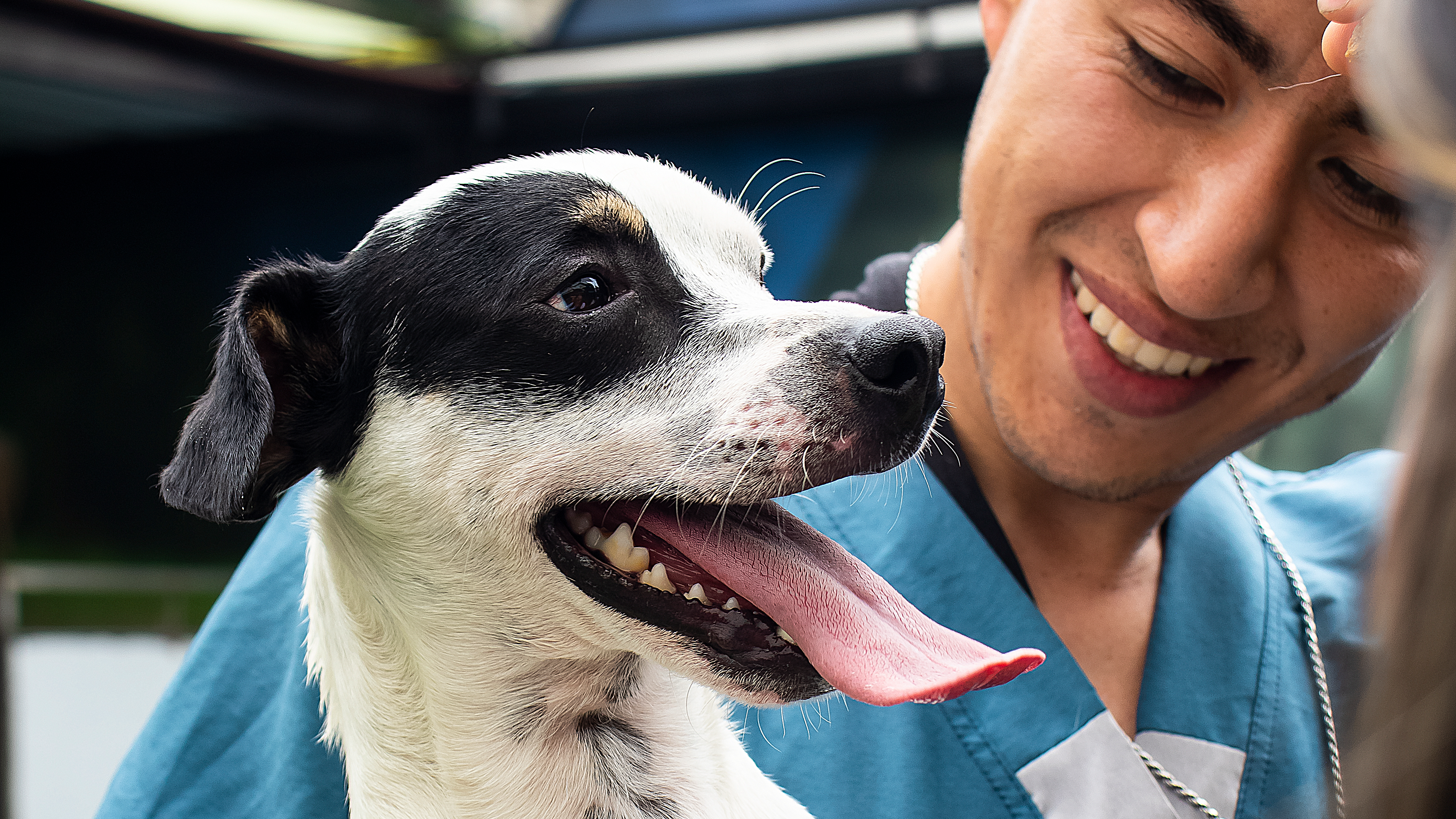 vet cargando perro