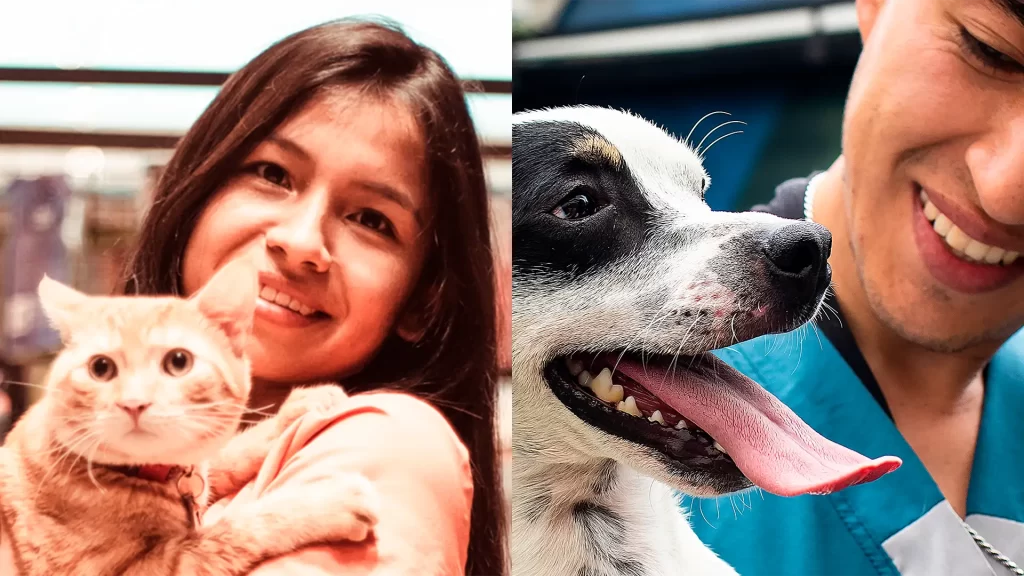 mascotas con humanos