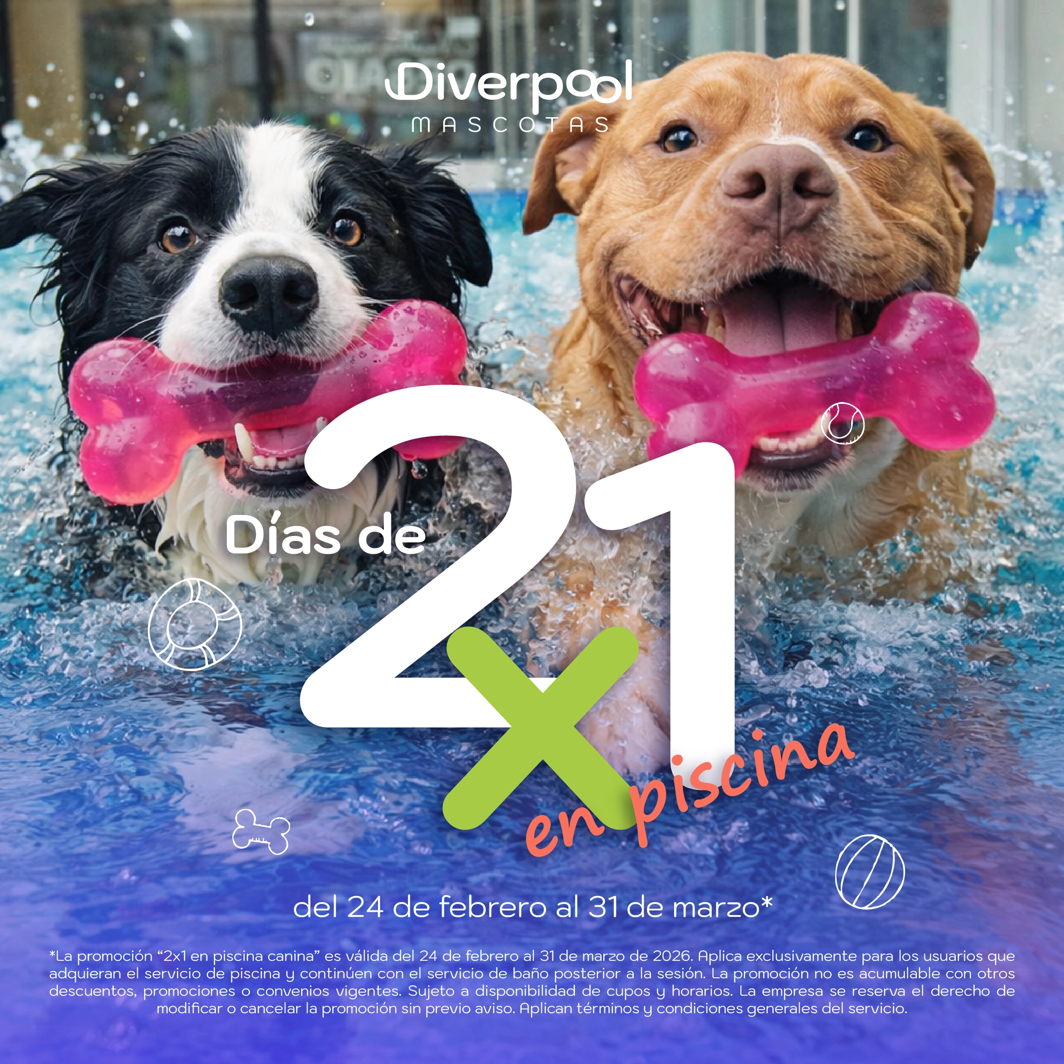 Dos perros jugando en una piscina con juguetes rosados, promoción 2x1 en piscina para mascotas en Diverpool.