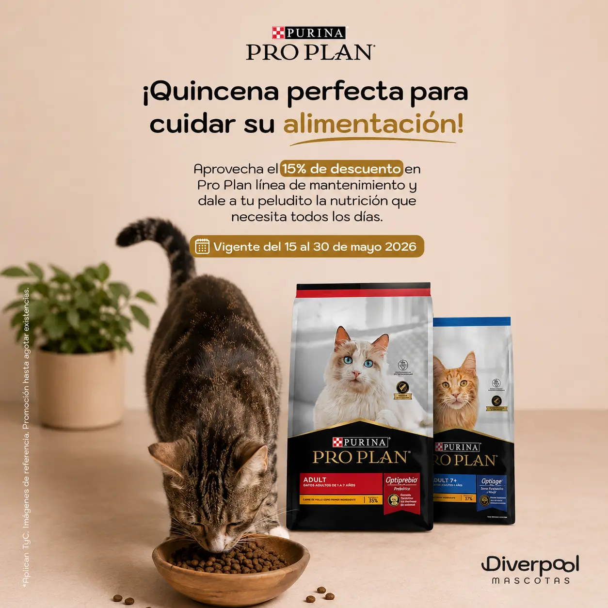 Promoción de Purina Pro Plan en Diverpool Mascotas: 15% de descuento en la línea de mantenimiento, vigente del 15 al 30 de mayo de 2026. La imagen muestra un gato atigrado comiendo de un tazón de madera, junto a dos bolsas de alimento Pro Plan para gatos adultos sobre un fondo beige cálido.