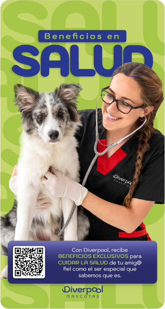 Servicios veterinarios en Bogotá de DiverAmigos: tabla de fidelidad con 60% de descuento en consultas especializadas y servicios gratuitos de vacunación en Colombia.
